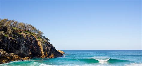 A Personal Guide to Quandamooka Country - North Stradbroke Island - Kara Rosenlund
