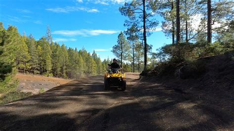 My Quads & Bikes (Brena Baja) - All You Need to Know BEFORE You Go