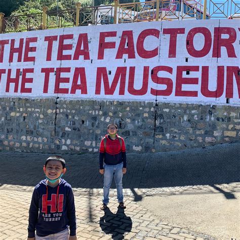 TEA MUSEUM - All You Need to Know BEFORE You Go 2026 (with Photos ...
