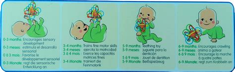 Buy Samip Honeycomb Teething Toy Soothing Sensory Development teether ...