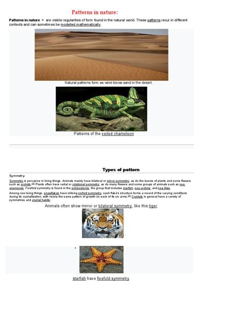 Patterns of Motion in Nature 的图像结果