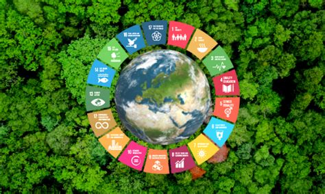 Public Sector Digitalization | IT Solutions For Government - CSM