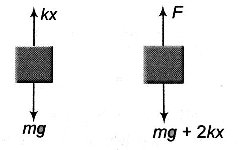 A spring is attached to the bottom of an swimming pool, with the axis ...