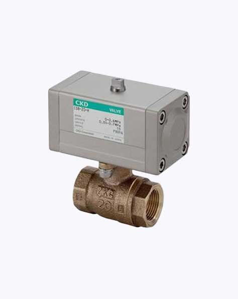CKD Ball Valves in Chennai Tamil Nadu India | TTEPL