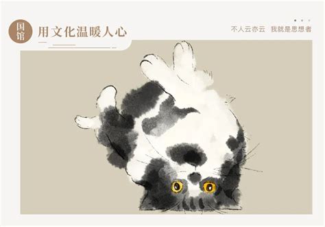 关于中华田园猫品种大全，你知道多少呢？