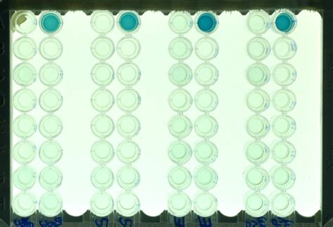 Advanced Centre for Treatment Research & Education in Cancer | ELISA ...