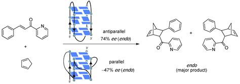 DNA as a Chiral Scaffold for Asymmetric Synthesis