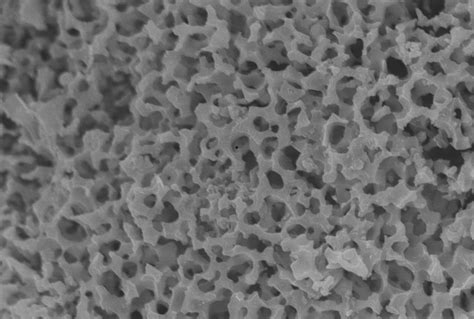 Ahmedabad University - Leading Liberal Education and Research University