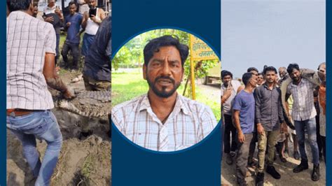 7 फीट मगरमच्‍छ को पकड़ा और कंधे पर उठा ले गया शख्‍स, ऐसे दिखाई जांबाजी ...