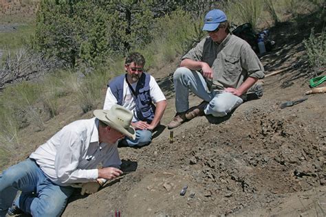 Paleontologists 的图像结果