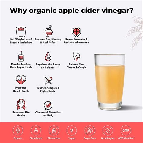 Buy WELLBEING NUTRITION ORGANIC APPLECIDER VINEGAR 2X MOTHER FOR WEIGHT ...