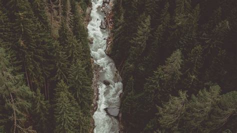 Download wallpaper 3840x2160 river, forest, aerial view, stream ...