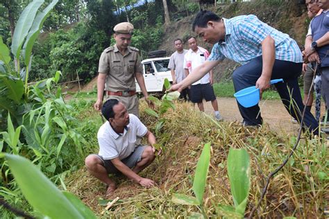 CADC Kicks Off “Green Mizoram Week” with mass tree-plantation – Chakma ...