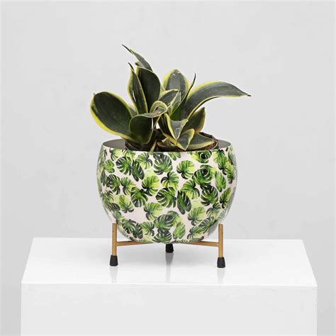 Vudy Indoor Plants Pots with Stand -Decorative Pots for Indoor Plants ...