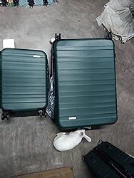 AmazonBasics Polycarbonate Hard 76 cms suitcase(T1916-28_green ...