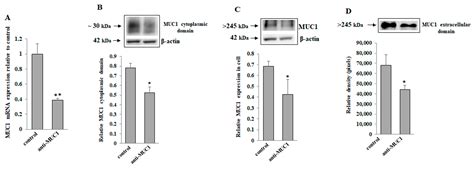 Tiliroside Combined with Anti-MUC1 Monoclonal Antibody as Promising ...