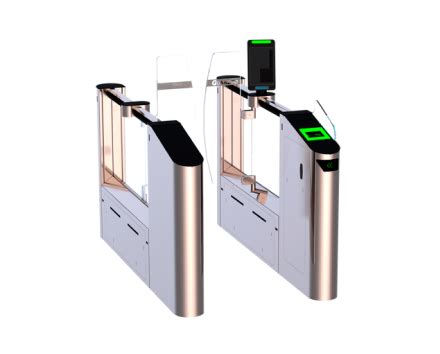 Efficient Access Control: The Role of Airport Security Gates