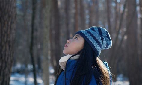 Evil Does Not Exist, Ryusuke Hamaguchi’s eerie study of the natural ...