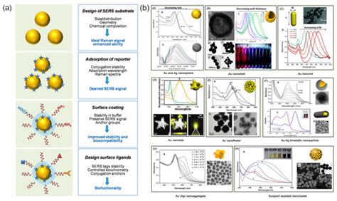 Application of SERS in the Detection of Fungi, Bacteria and Viruses