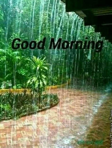 Good Morning In Rain Images - wisdom good morning quotes