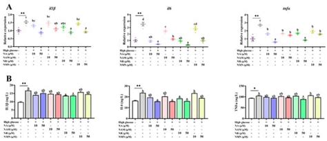 The Effectiveness of Four Nicotinamide Adenine Dinucleotide (NAD+ ...