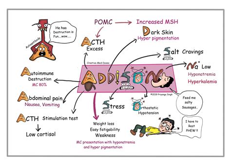 Addison disease primary adrenal insufficiency – Artofit