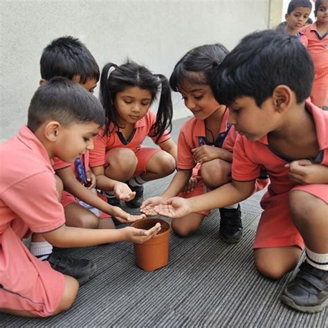 Seed Germination Activity – Hands-on Learning for K1! - Kothari Group ...