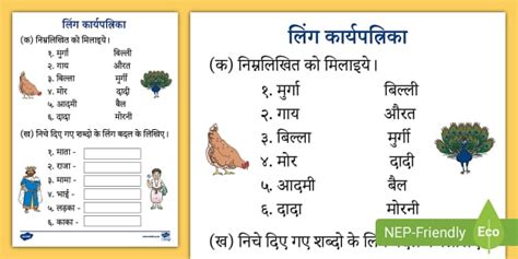 लिंग कार्यपत्रिका Gender Worksheet