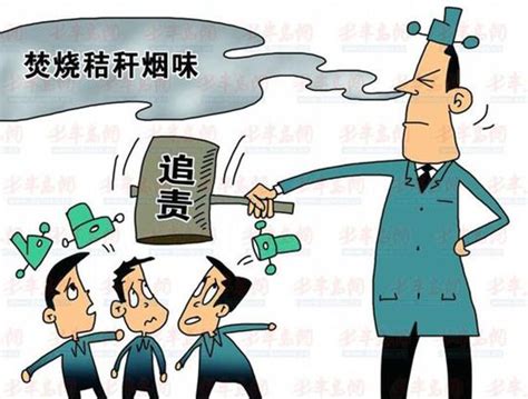 为保秸秆利用达到95%河北省出台首个禁烧秸秆立法 - 政策 - 第一农经网