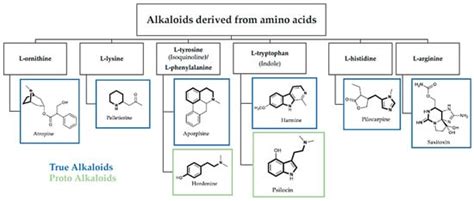 Antibacterial Activity and Antifungal Activity of Monomeric Alkaloids