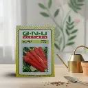 Seed Carrot Desi Red 10 gm | Jagtapnursery.shop