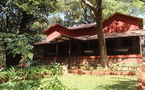 10 Best Hotels Near Bhimashankar Temple One Can Plan A Stay!