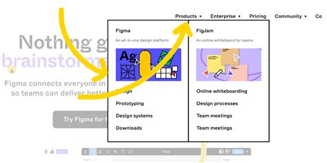 How to Create Drop Down List Code in PHP 的图像结果