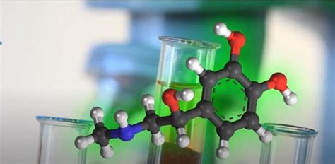 What kind of molecule is depicted here A: - Brainly.in