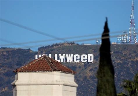 Hollywood sign changed to 'Hollyweed' - Photos,Images,Gallery - 56575
