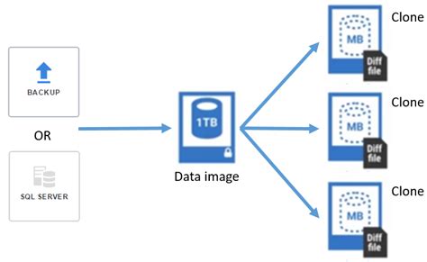 Image result for SQL Clone