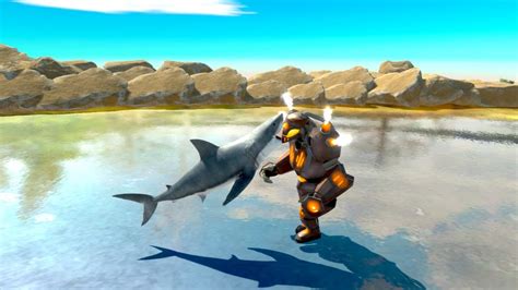 Image result for Randomized Catch Battle