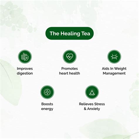 Chymey Nirvana Green Tea - 15 Pyramid Tea Bags - Chymey Teas