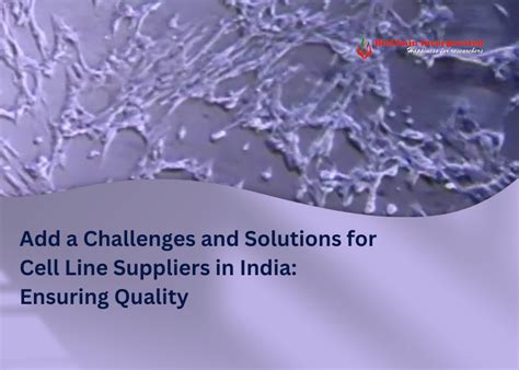 Challenges and Solutions for Cell Line Suppliers in India: Ensuring Quality