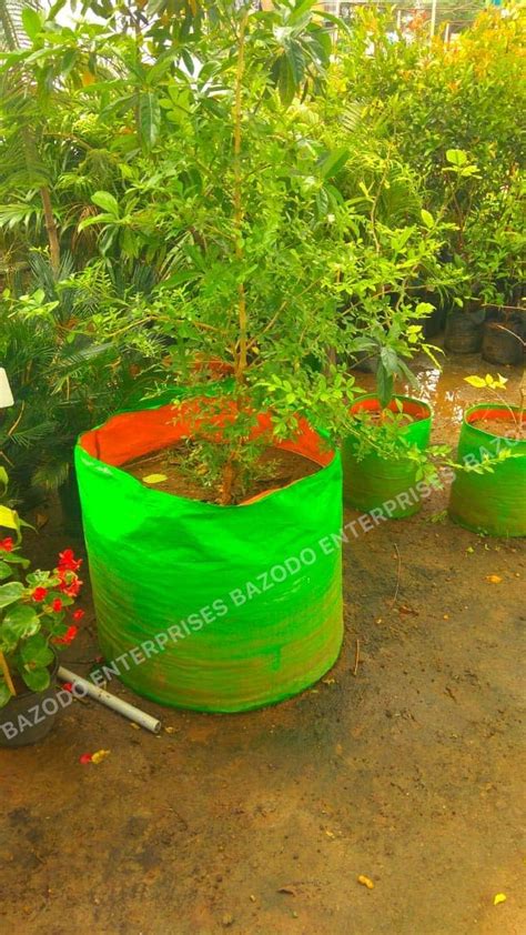 YUVAGREEN Plastic Big Size Terrace Gardening Grow Bag for Fruits ...