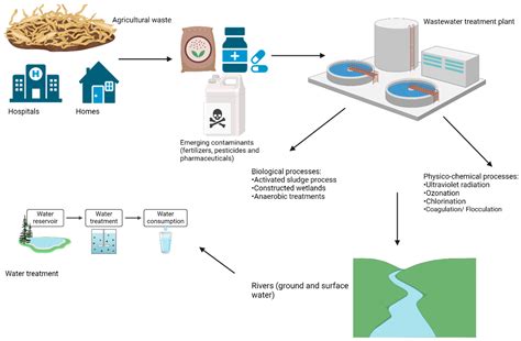 Biodegradation of Emerging Contaminants Controlled by Biological and ...
