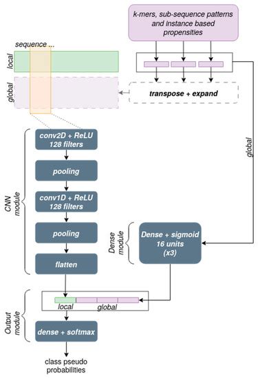 High-Accuracy ncRNA Function Prediction via Deep Learning Using Global ...