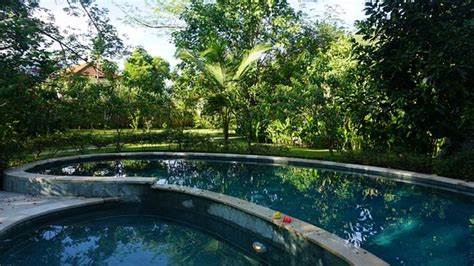 KUDA LAUT BUNGALOWS & DIVING (Pemuteran, Bali) - Hotel Reviews, Photos ...