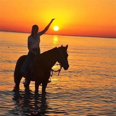 ACTIVITÉS DJERBA (2026) All You Need to Know BEFORE You Go (with Photos ...