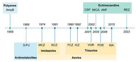 Antifungal Drugs for the Treatment of Invasive Fungal Infections—A ...