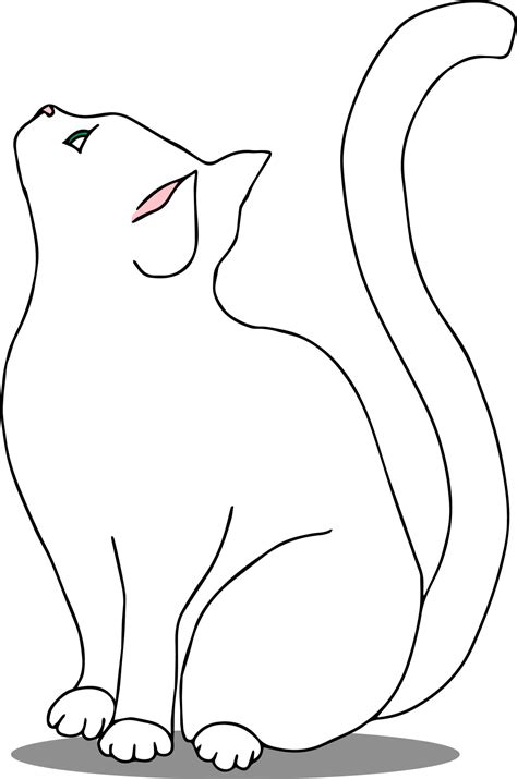 Cat Sitting Drawing