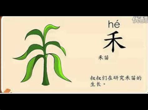 【一功分享】最有中国味儿的100个汉字，一笔一划传承千年！ - 知乎