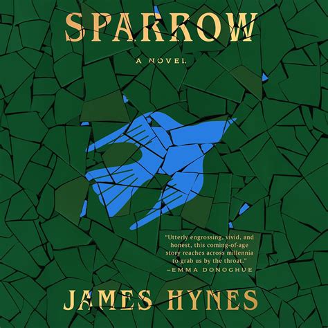 Sparrow : Hynes, James, Solomon, Theo: Amazon.in: Books