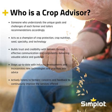 J.R.simplot Potatoes 的图像结果