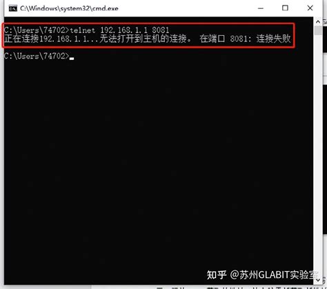 Cmd NetView 的图像结果